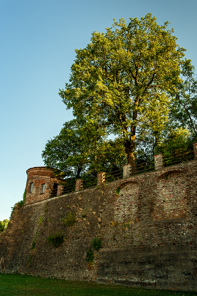 Castle fortification